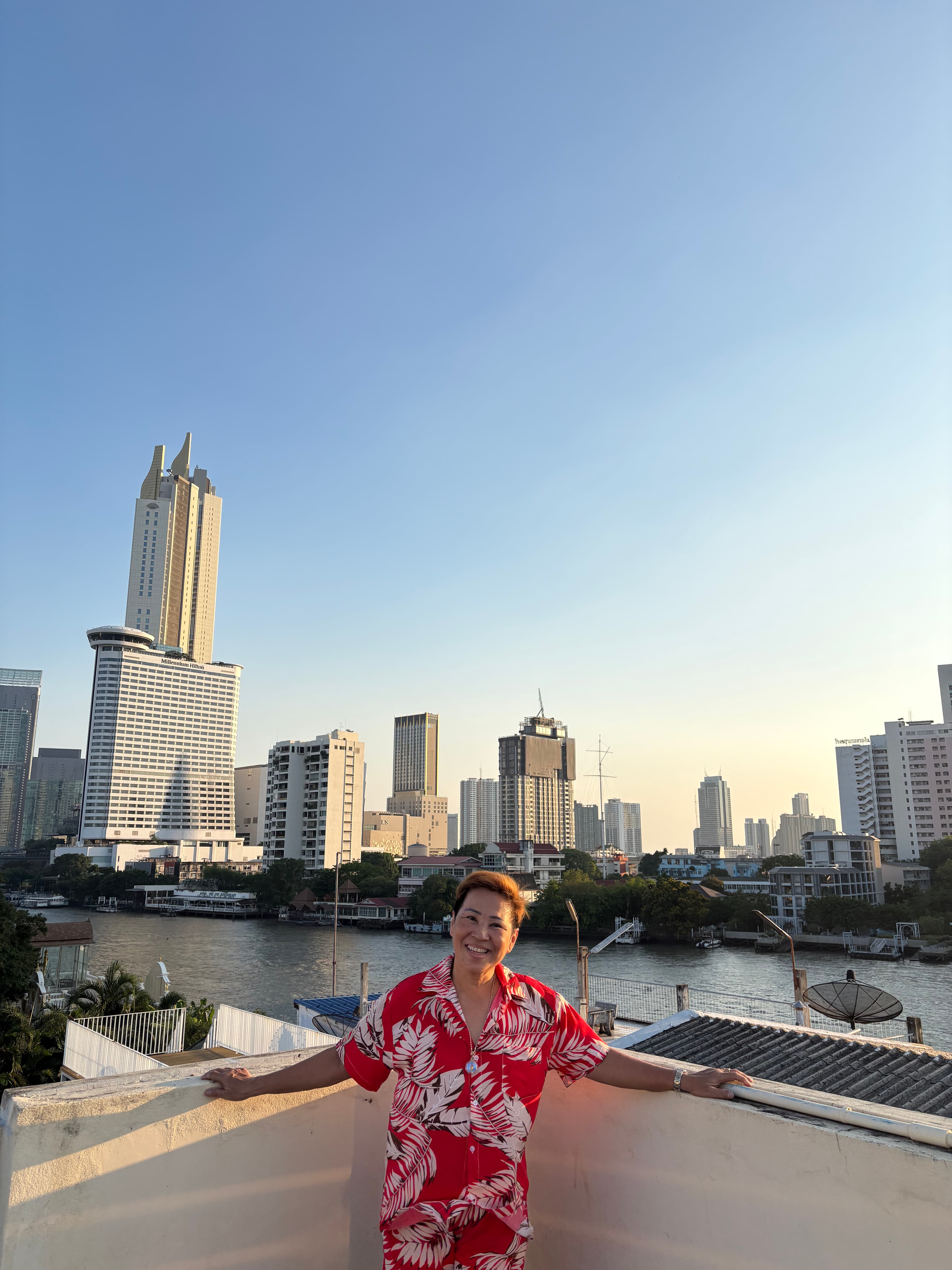 Rooftop view 2